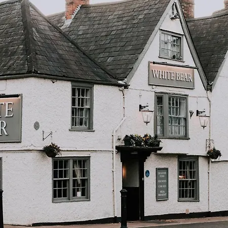 The White Bear-3