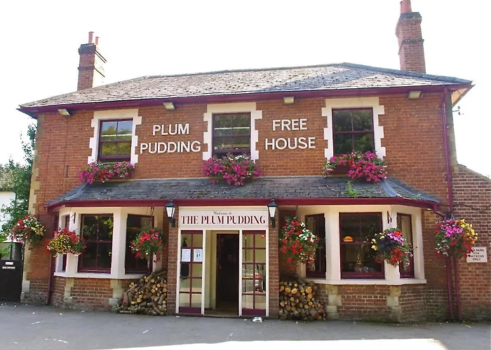 Plum Pudding