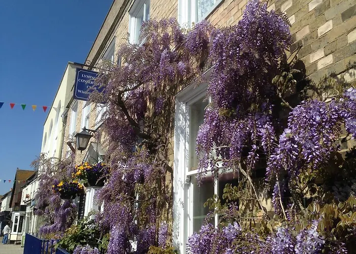 Wisteria House Bed & Breakfast Lymington