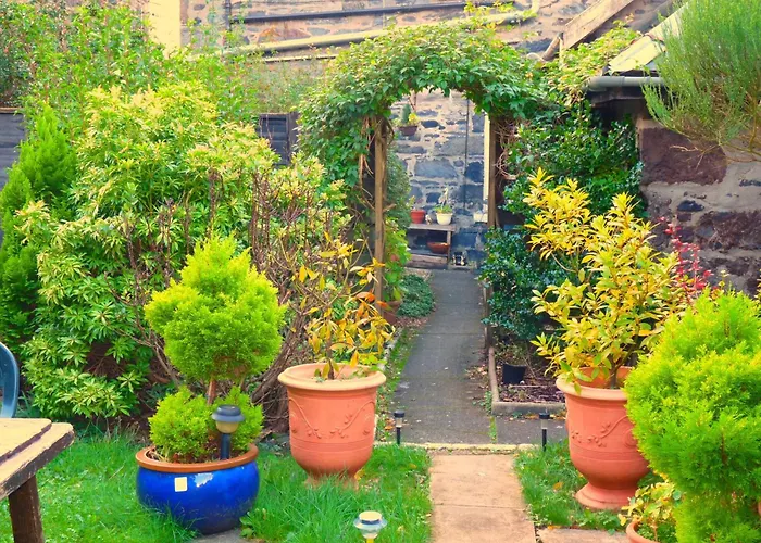 Arbour Guest House