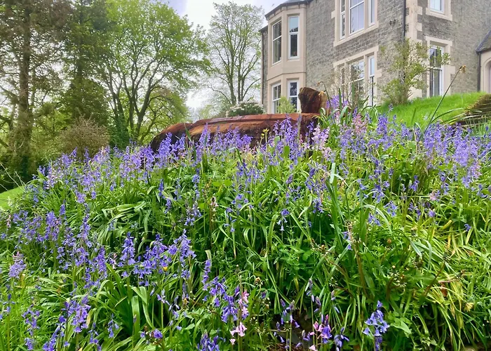 Above & Beyond At Warriston Lodge Moffat