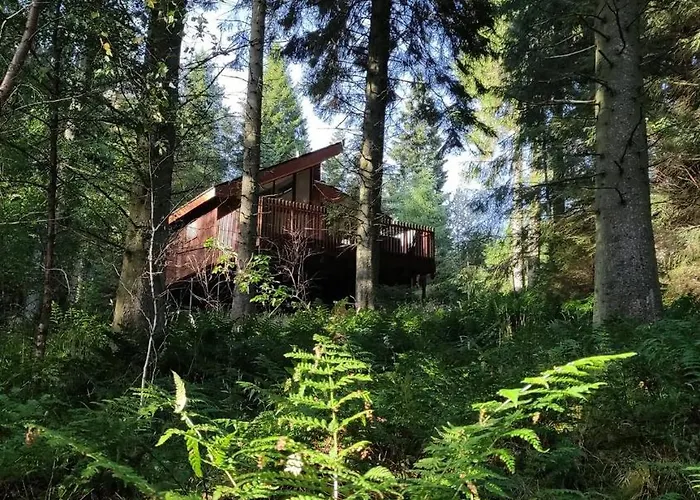 Glentress Forest Cabins - Forest Holidays Peebles