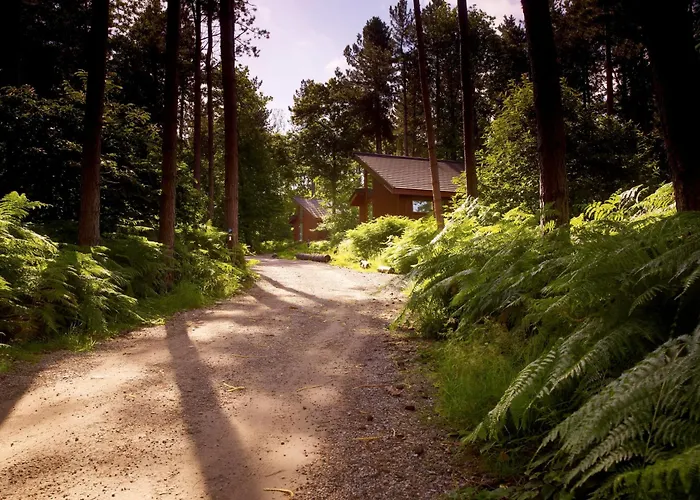 Glentress Forest Cabins - Forest Holidays Peebles