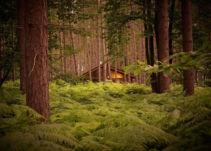 Glentress Forest Cabins - Forest Holidays Peebles