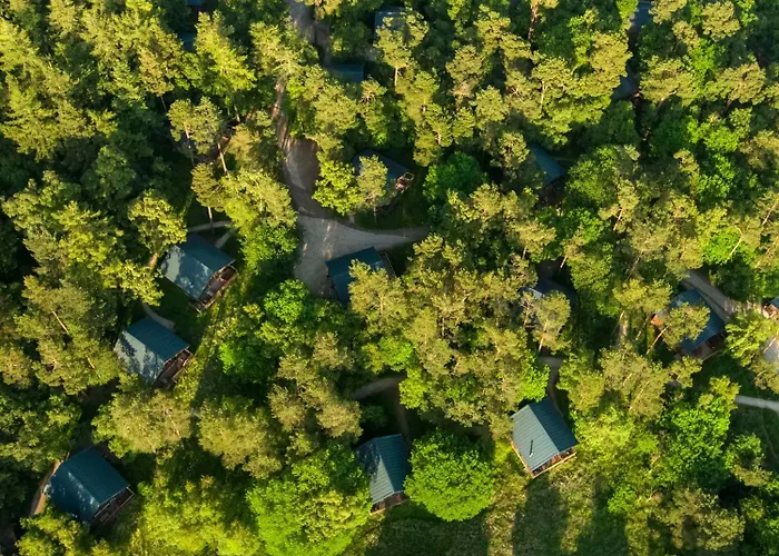 Keldy Forest Cabins - Forest Holidays Pickering