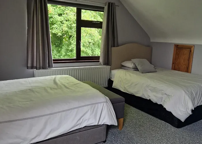 The Tree-House B&B Ballymena