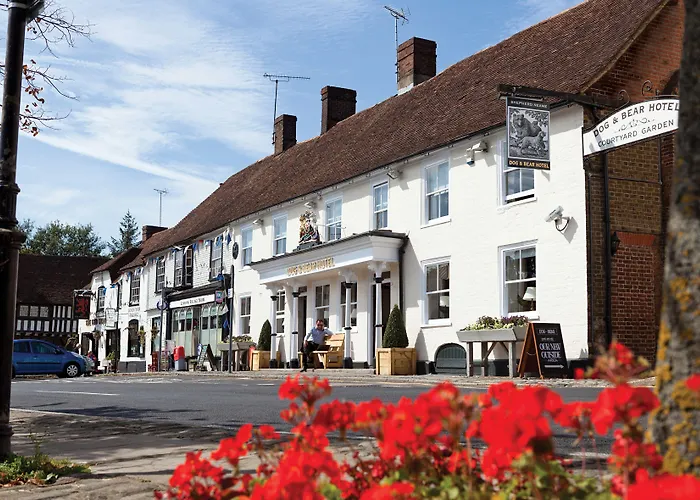 The Dog & Bear Hotel Lenham