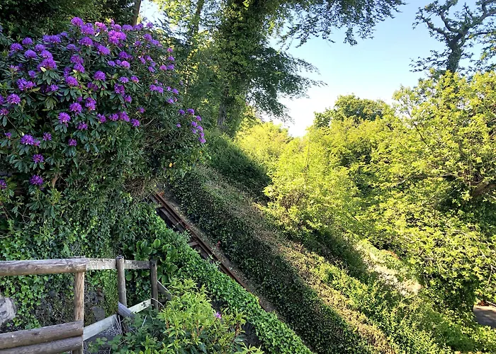 The North Cliff Hotel Lynton