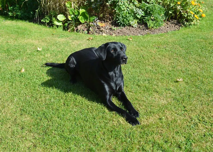 The Dinney B&B Bridgnorth