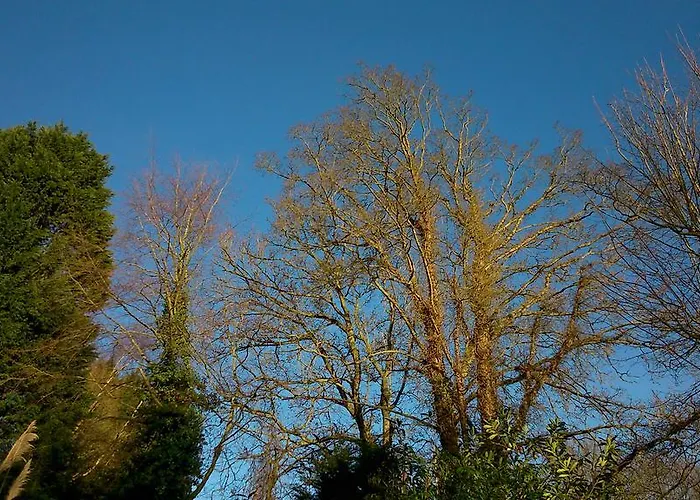 Thornybank Bed & Breakfast Cromer