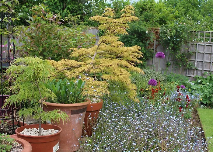 Laurels Guesthouse Witney